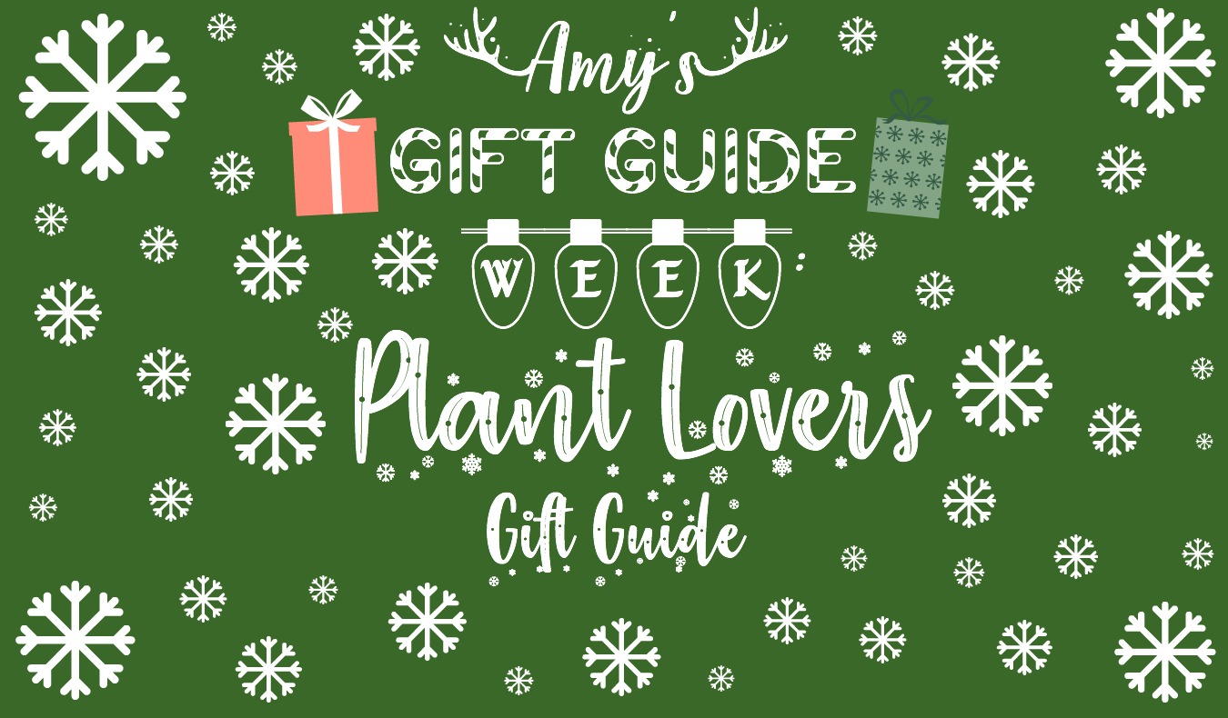 Top 50+ des cadeaux pour fans de plantes, la commu des plantes lovers